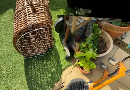 Photo of free Pet basket (Middlewood S6) #3