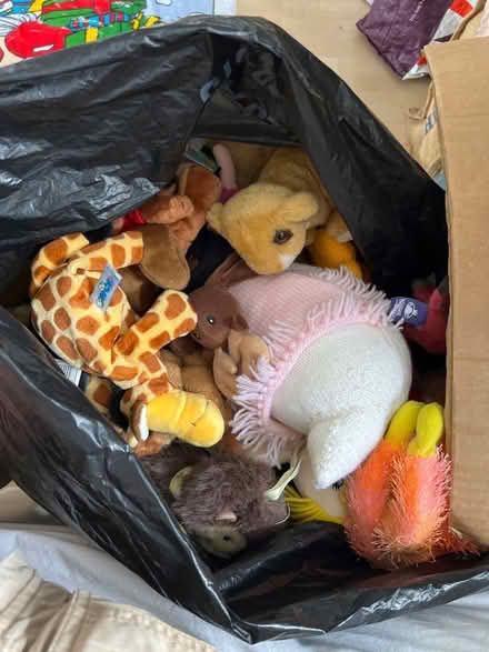 Photo of free Black bag of soft toys (Clapham MK41) #1