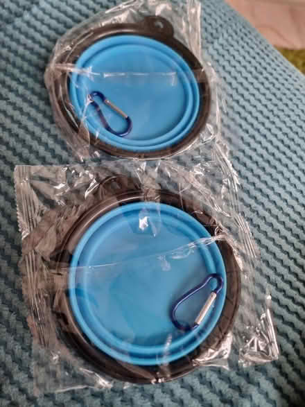 Photo of free 2x collapsible water bowl (Tonbridge TN12) #1
