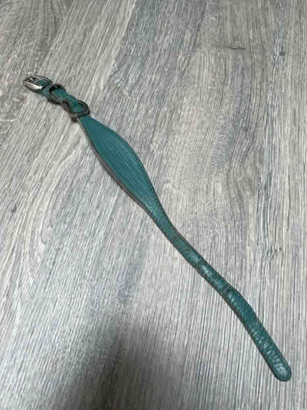 Photo of free Grey Dog Collar. For Sighthounds. Good condition. (Southsea PO4) #1