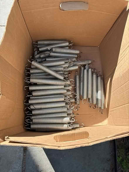 Photo of free Stainless steel springs (59 Larchwood Dr Cambridge MA) #1