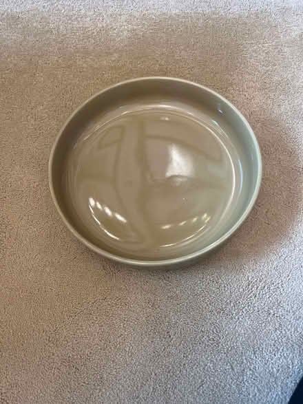 Photo of free Dog food bowl (Blacklands TN34) #1