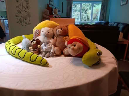 Photo of free Soft Toy Collection (Northwood HA6) #1