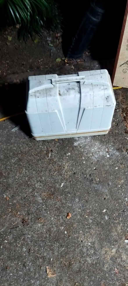 Photo of free Art, sewing M, mop, rug grip + more (Marin) #4