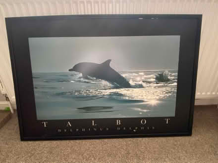 Photo of free Two framed pictures (Starbeck HG1) #1
