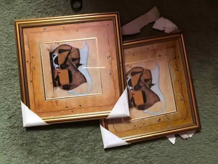 Photo of free Pictures (Lancaster, Skerton) #1