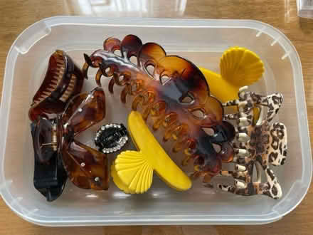 Photo of free Hair clips, slides and scrunchies (Worthing BN11) #4