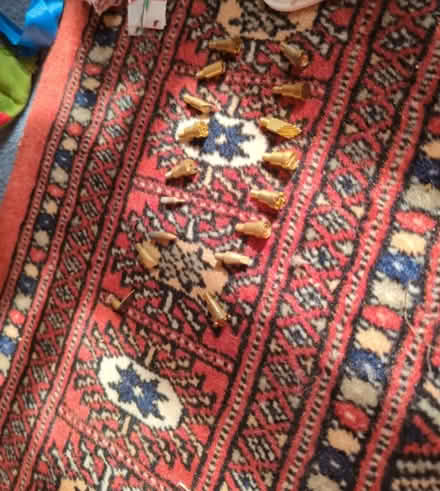 Photo of free Pyrography set (Lewes BN7) #2