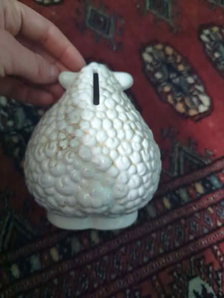 Photo of free Sheep Money bank (Lewes BN7) #2