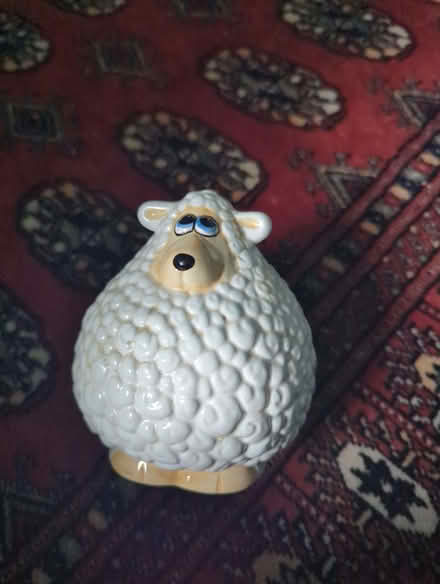 Photo of free Sheep Money bank (Lewes BN7) #1
