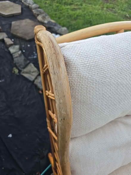 Photo of free Conservatory chair (Huntley GL19) #3