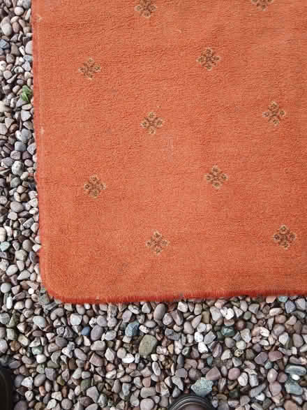 Photo of free Rug (Lydbury North SY7) #2