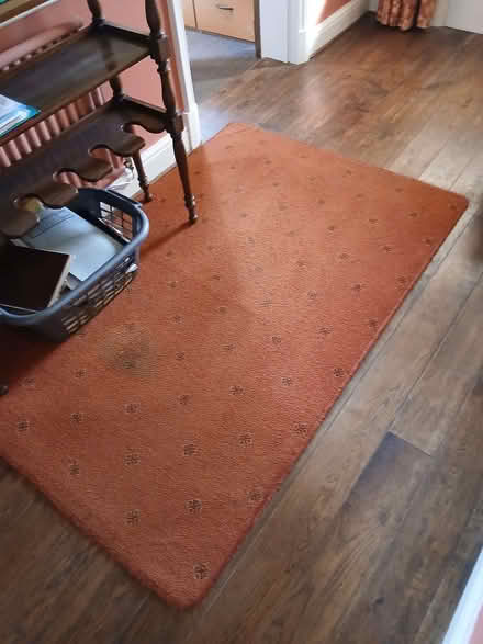 Photo of free Rug (Lydbury North SY7) #1