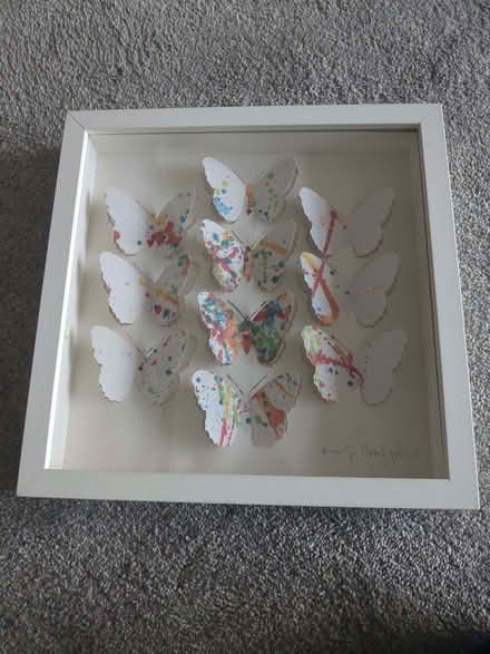 Photo of free Picture of butterflies in frame (Harpenden AL5) #1