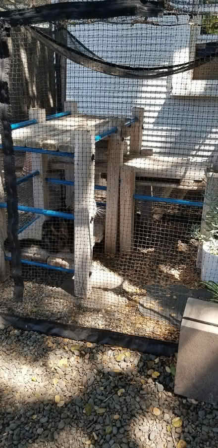 Photo of free Play structure (Near Rinconada Park) #1