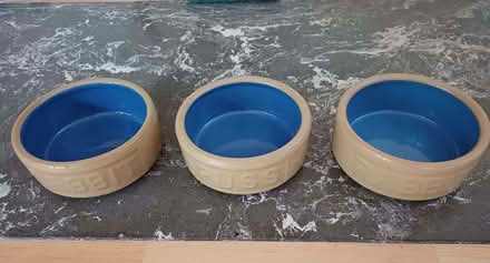 Photo of free Pet food bowls x3 (Willaston CH64) #1