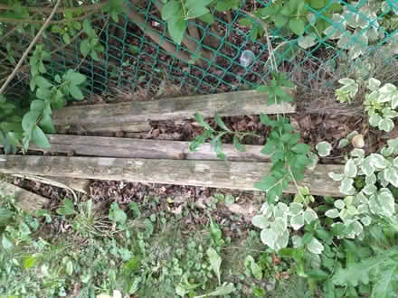 Photo of free 50 bricks and wood (60193) #4
