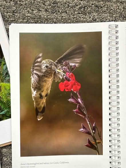 Photo of free Calendars/planners (out of date) (Lake Merritt area) #3