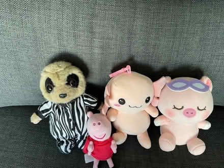Photo of free Teddy bundle (Thringstone LE67) #1