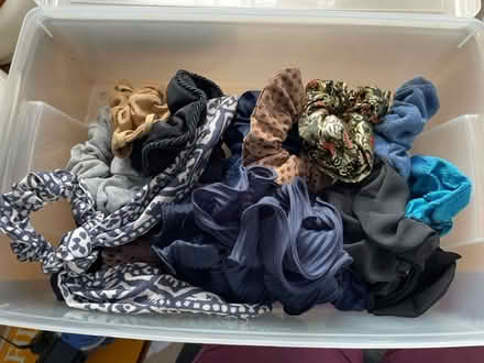 Photo of free Hair clips, slides and scrunchies (Worthing BN11) #3