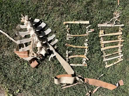 Photo of free Real Bone Breastplates (New Paltz) #1