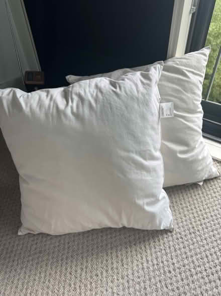 Photo of free Cushions (Tottenham N17) #1