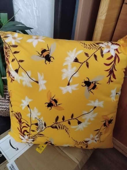 Photo of free Cushion (Rowner PO13) #1