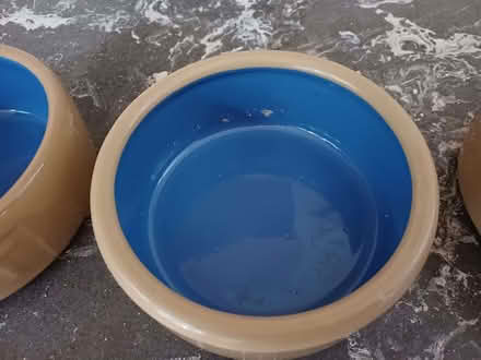 Photo of free Pet food bowls x3 (Willaston CH64) #2