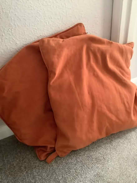 Photo of free Large Terracotta Cushions (Owlsmoor GU47) #1