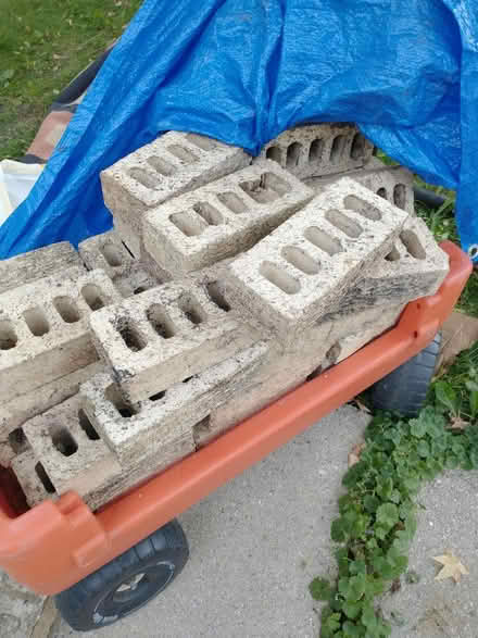 Photo of free 50 bricks and wood (60193) #1