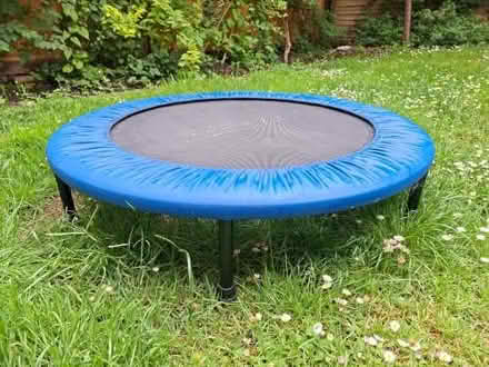 Photo of free Trampoline (Tufnell Park N19) #1