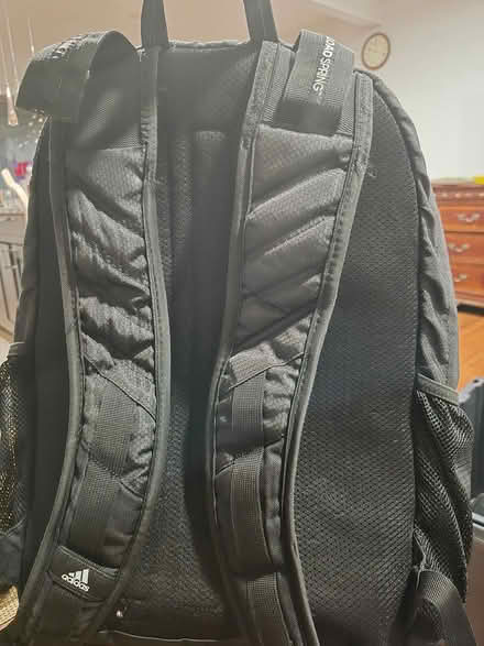 Photo of free Back pack (Severna Park) #2