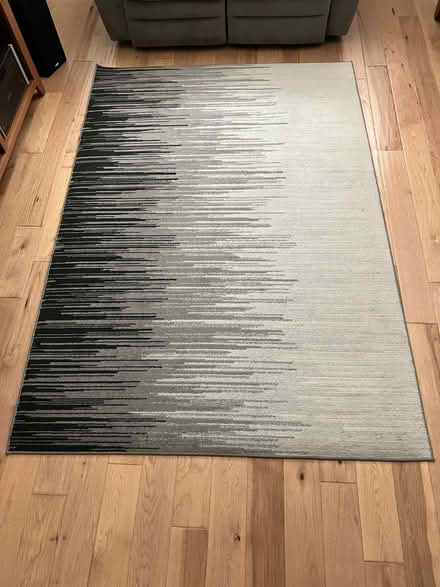 Photo of free area rug 5' x 7.5' (NE Pleasanton) #1