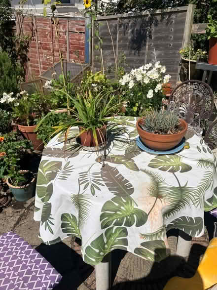 Photo of free Garden table (Carlton Hill BN2) #2