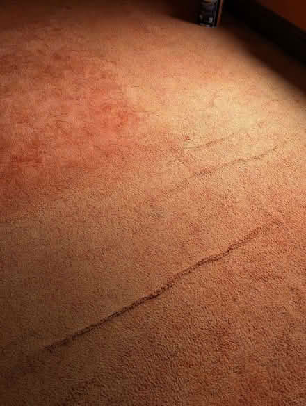 Photo of free Old Carpet ~ 3 x 3.5m (Central Lancaster LA1) #1