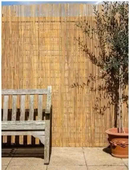 Photo of Natural screen (bamboo/willow) (Radcliffe M26) #3