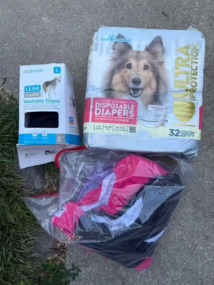 Photo of free Dog diapers (Off forest drive , Annapolis) #1