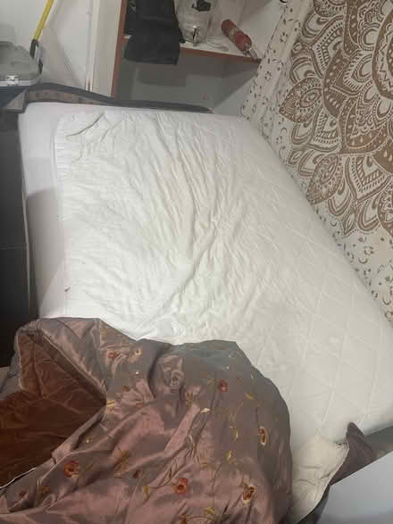 Photo of free Flooring, bed frame & mattress (Longmont) #3