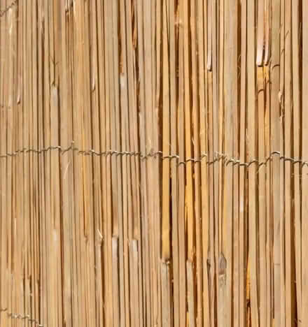 Photo of Natural screen (bamboo/willow) (Radcliffe M26) #4
