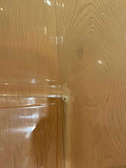 Photo of free Large plastic bin (Hintonburg) #2
