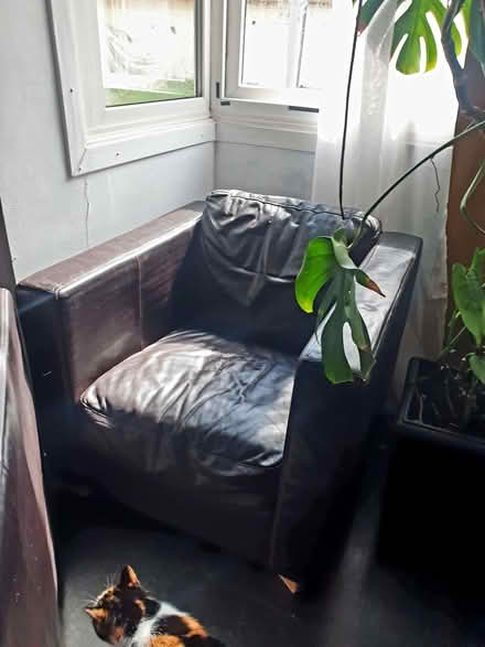 Photo of free 2 leather armchairs (Low Water BA11) #1