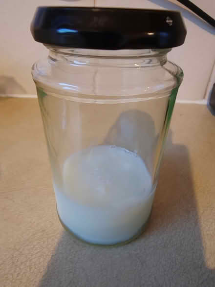 Photo of free Milk Kefir grains (Risinghurst OX3) #1