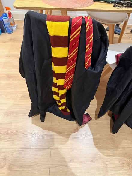 Photo of free Harry Potter Man and Woman Costume (Tuffnel Park N19) #2