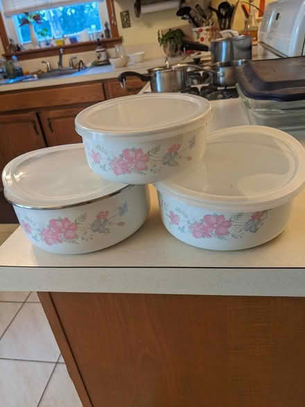 Photo of free Storage bowls (Belford, N.J.) #1