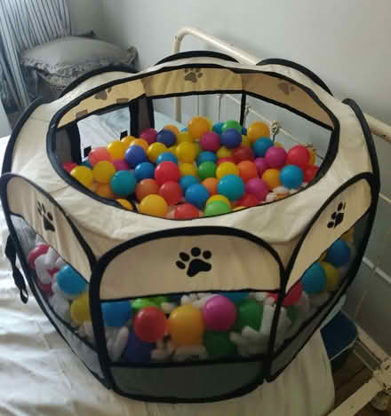 Photo of free Pet Ballpit (Southwick BN42) #1