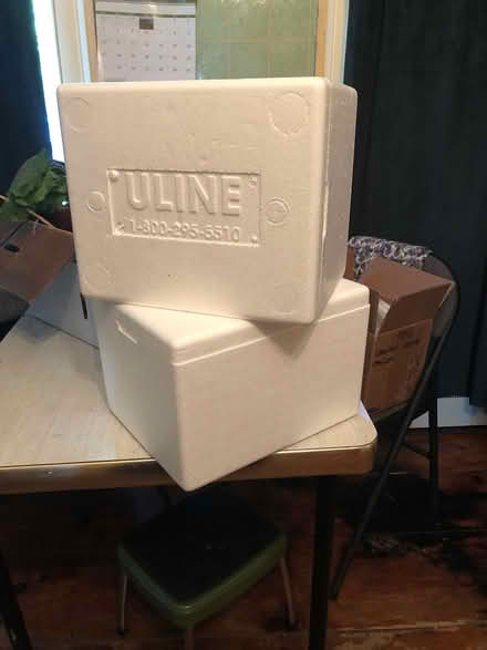 Photo of free 5-6 Small styrofoam coolers (Mecklenburg) #1