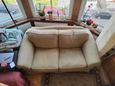 Photo of free Green Couch 🟢 (Mount Florida G42) #3