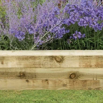 Photo of Timber for bordering veggie patch (BT66) #1