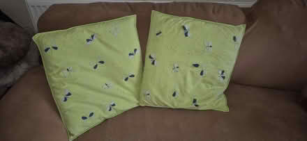 Photo of free 2 green cushions (Emmer Green RG4) #1