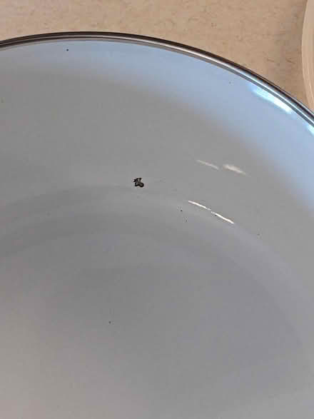 Photo of free Storage bowls (Belford, N.J.) #2